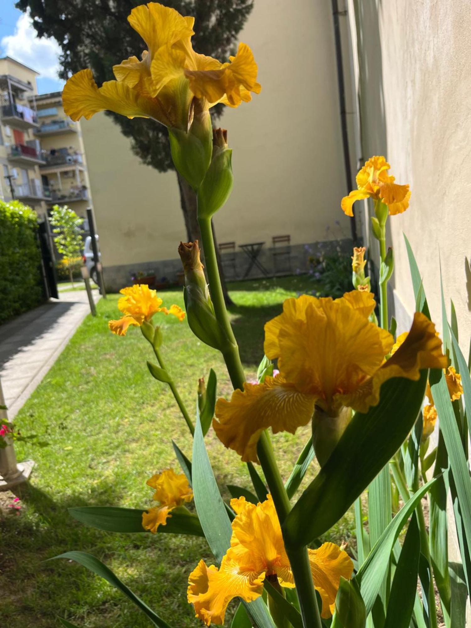 Dalu Florence Apartment Lucilla - Private Car Park 15 Minutes To The City Center Bagian luar foto